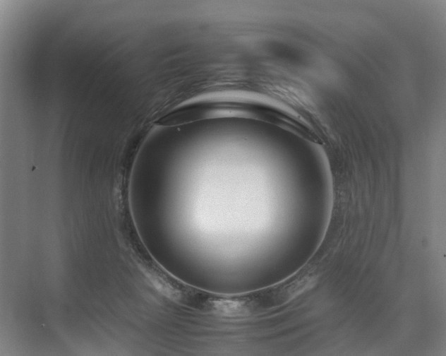 X0000075360265200609151644