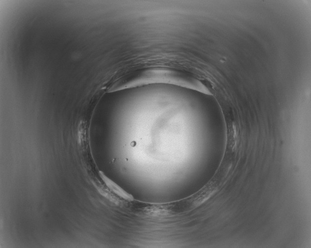 X0000075360284200609151645