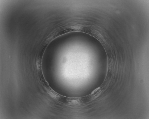 X0000075360285200609151645