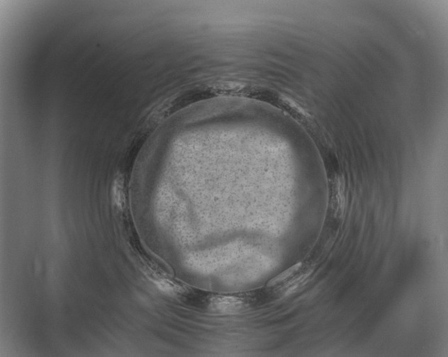 X0000075360287200609151645