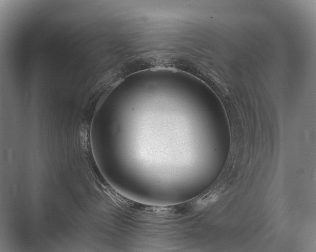 X0000075360288200609151645