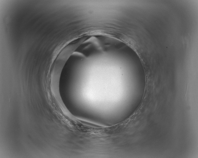 X0000075360289200609151644