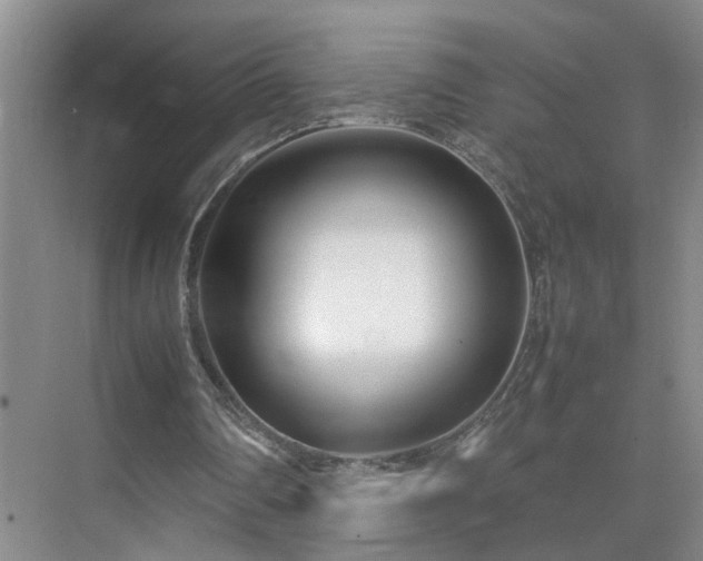 X0000075360290200609151644