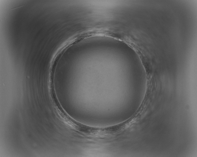 X0000075360293200609151644