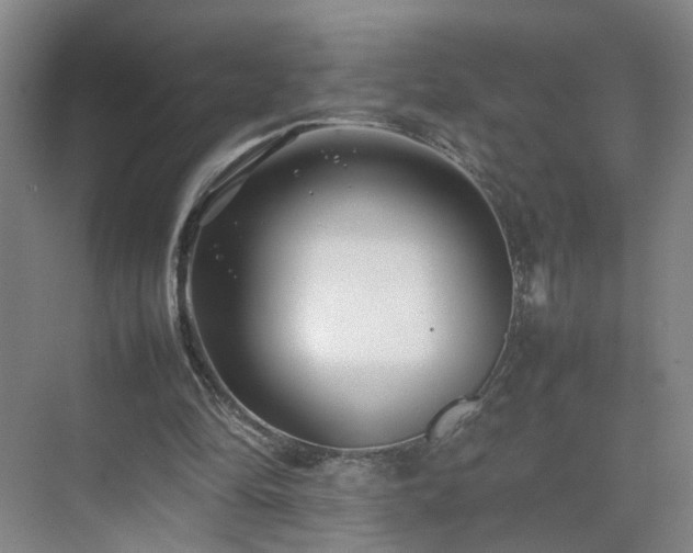 X0000075360294200609151644