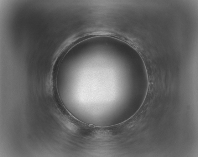 X0000075360296200609151644