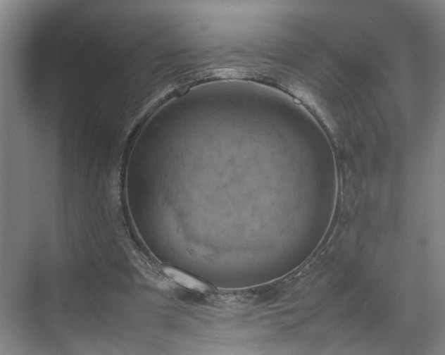 X0000075360297200609151644