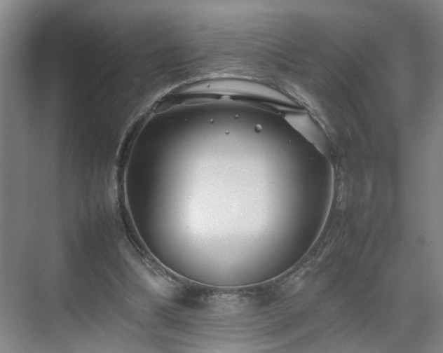 X0000075360298200609151644