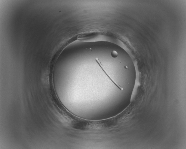 X0000075360299200609151644