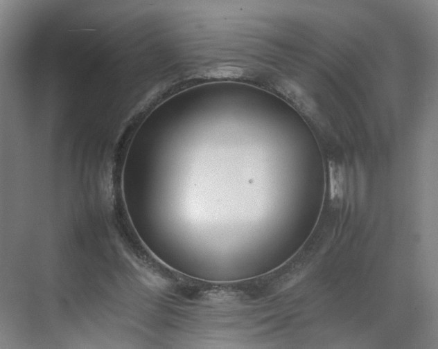 X0000075360300200609151644