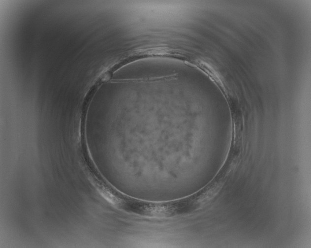 X0000075360301200609151644