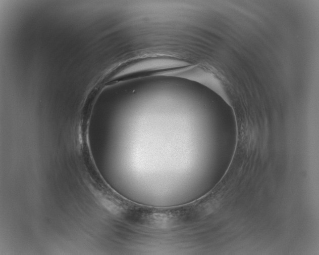 X0000075360302200609151644