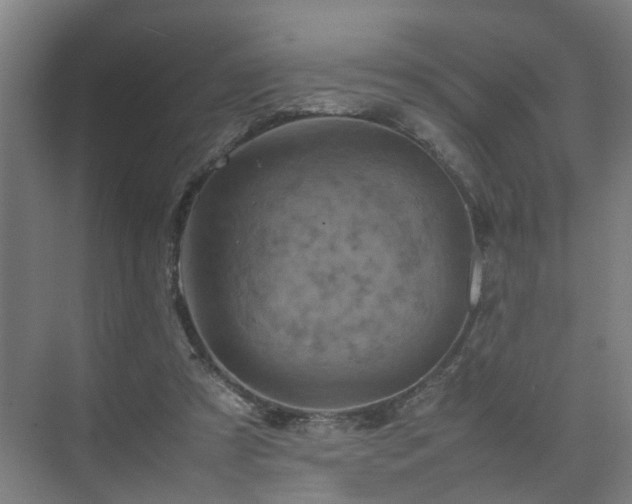 X0000075360305200609151644