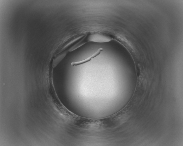 X0000075360306200609151644