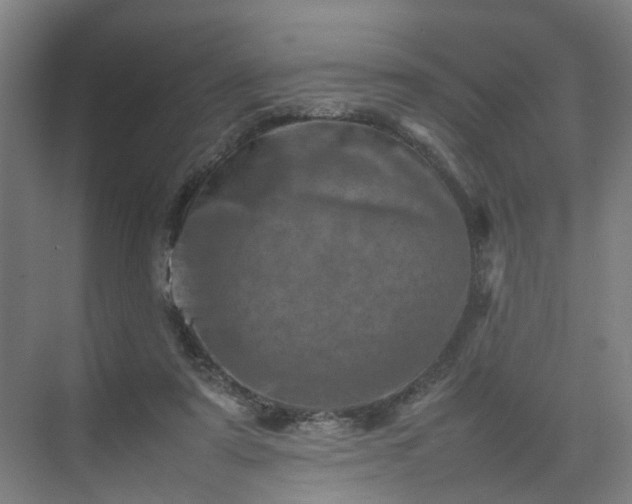 X0000075360307200609151644