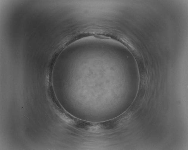 X0000075360309200609151644