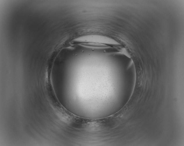 X0000075360310200609151644