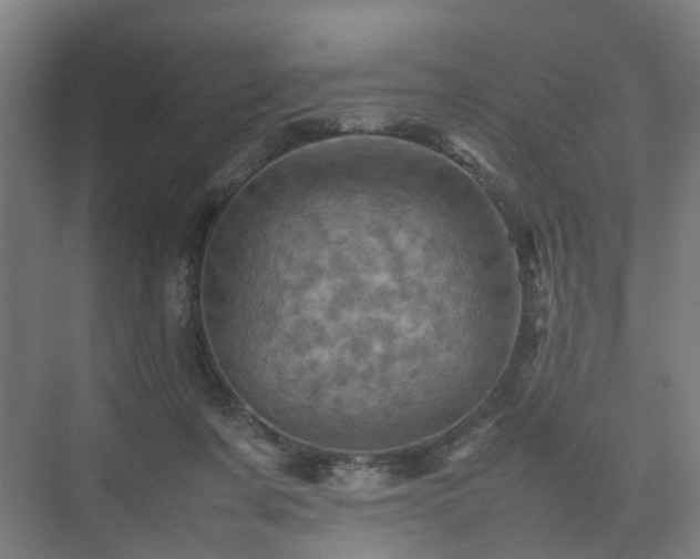 X0000075360311200609151644