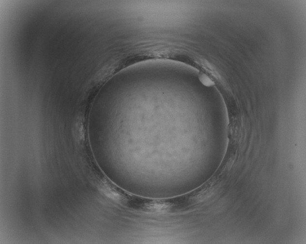 X0000075360313200609151643