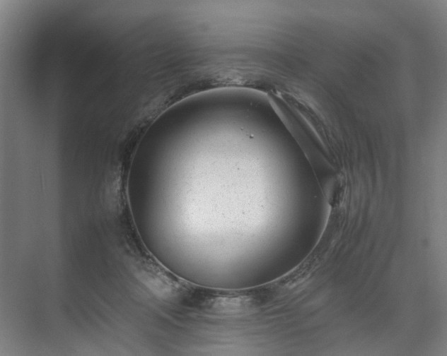 X0000075360314200609151643