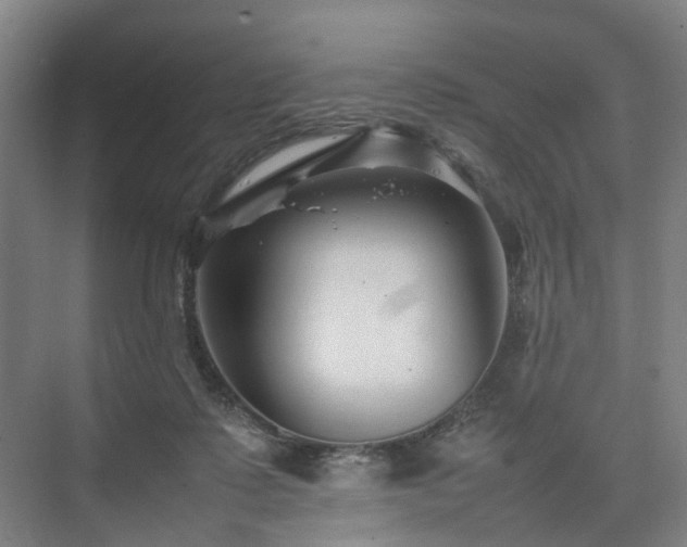 X0000075360315200609151643