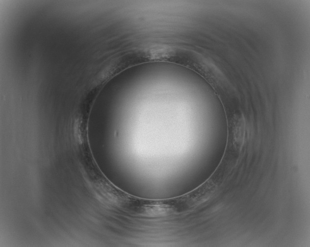 X0000075360316200609151643