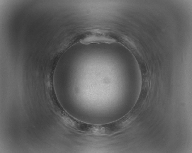 X0000075360317200609151643