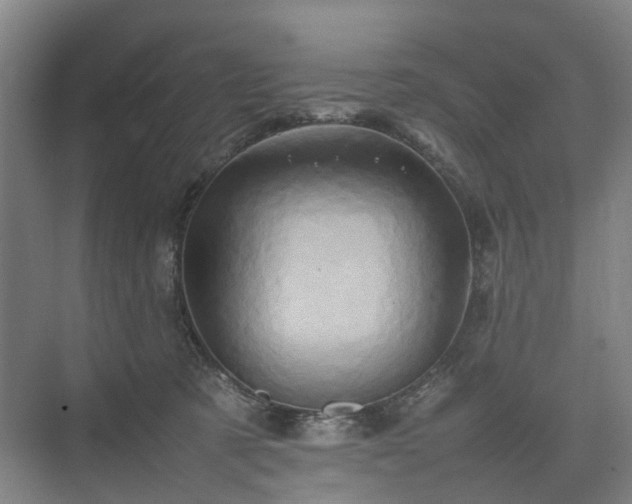 X0000075360321200609151643