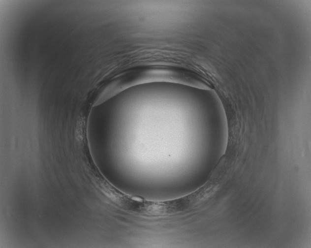 X0000075360325200609151643