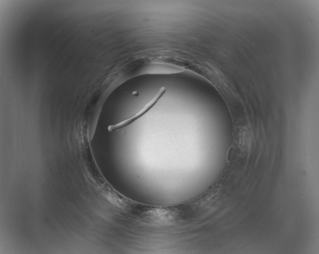 X0000075360326200609151643