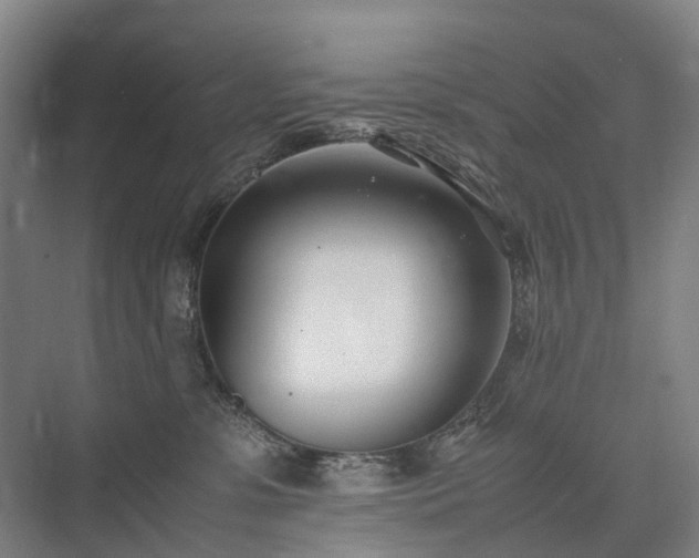 X0000075360331200609151643