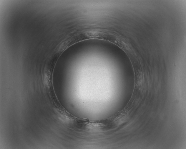 X0000075360332200609151643