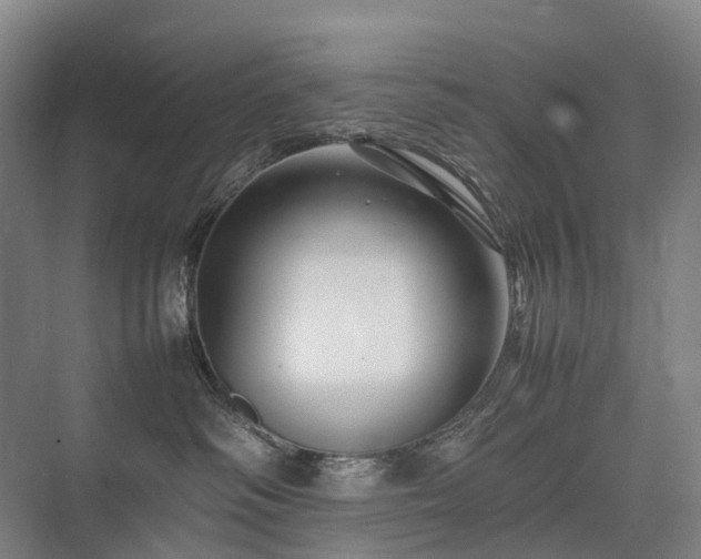 X0000075360334200609151643