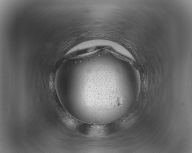 X0000075360335200609151643