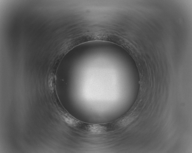 X0000075360336200609151643