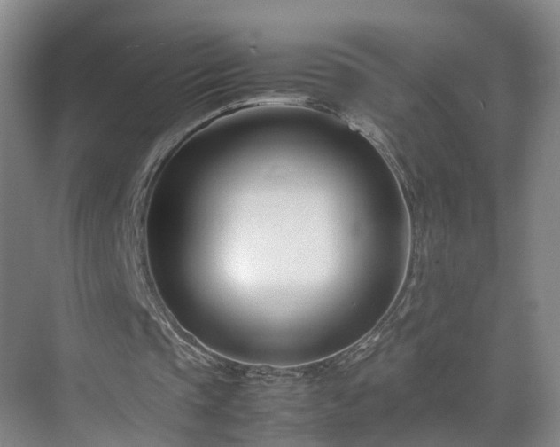 X0000075360337200609151642