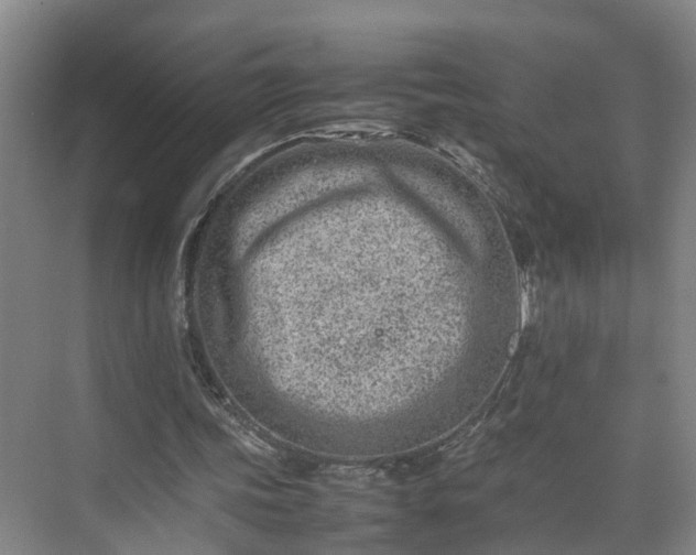 X0000075360339200609151642