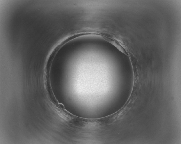 X0000075360342200609151642