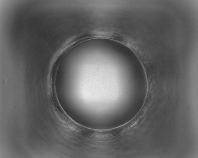 X0000075360343200609151642