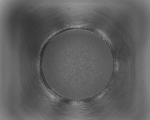 X0000075360346200609151642