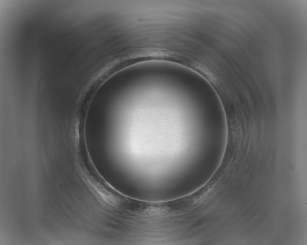 X0000075360350200609151643