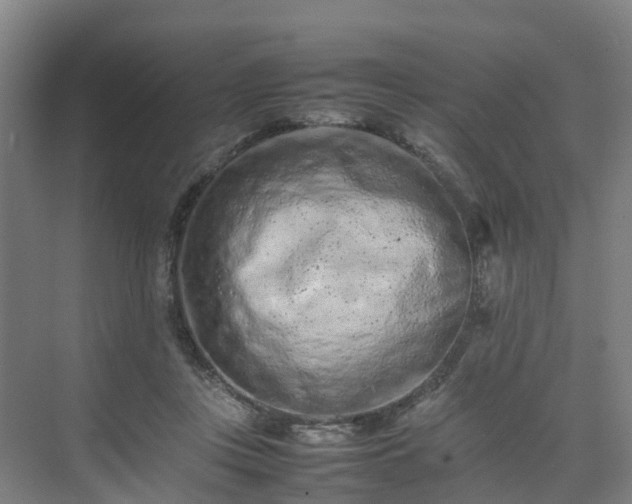 X0000075360359200609151643