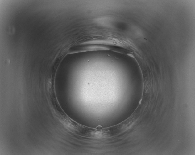 X0000075360365200609151643