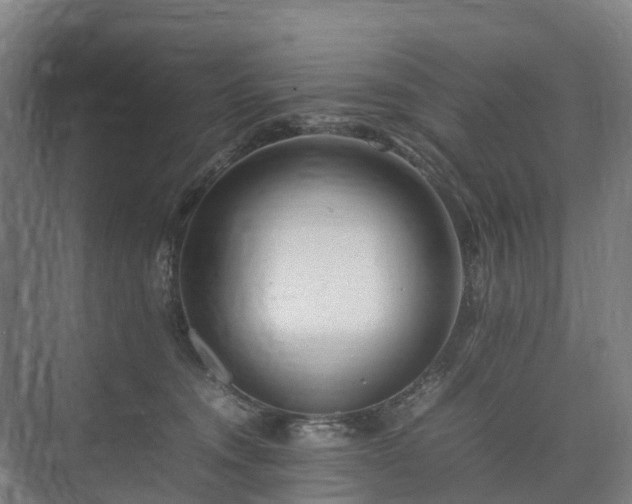 X0000075360372200609151643