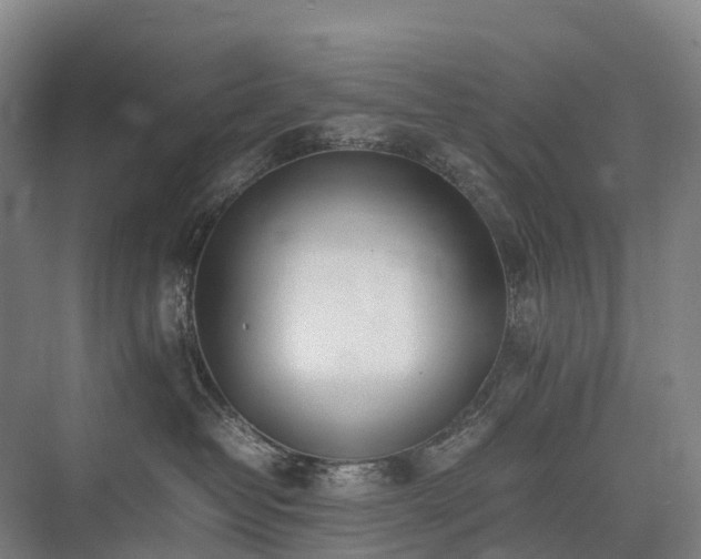 X0000075360382200609151643