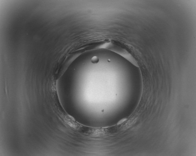 X0000075360384200609151643