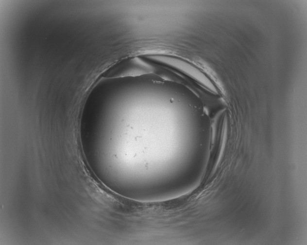 X0000075360385200609151642