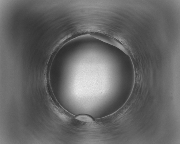 X0000075360390200609151642