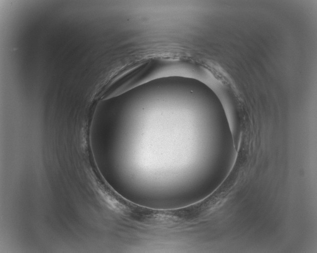 X0000075360393200609151642