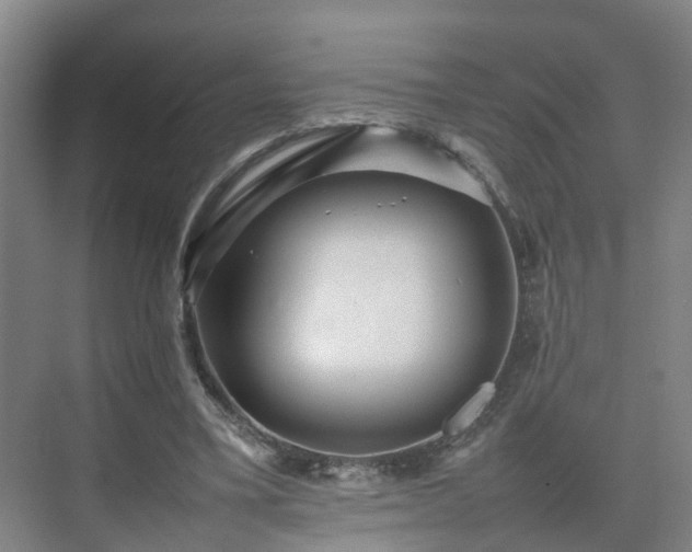 X0000075360395200609151642